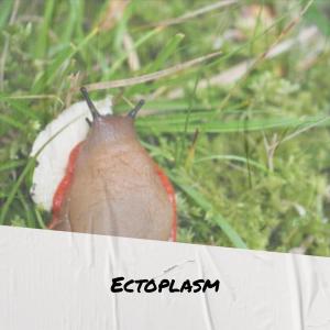 Dengarkan Torchy As lagu dari Quty dengan lirik