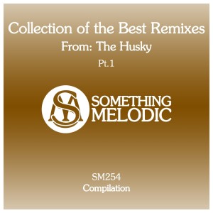 Listen to Searching (The Husky Remix) song with lyrics from DJ Artak