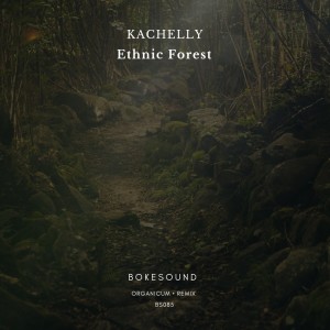 Listen to Crow song with lyrics from Kachelly