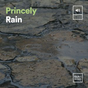 Album Princely Rain from Rainfall