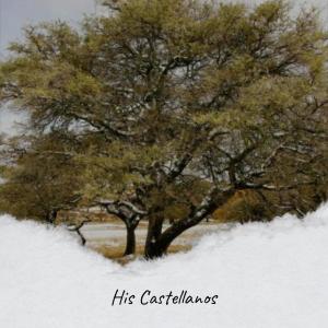 Listen to Cobos Cowardice song with lyrics from Velyn