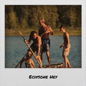 Listen to Deficiency Who song with lyrics from Delmis Schi