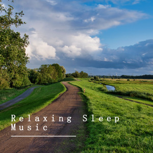 Album Relaxing Sleep Music oleh beautiful relaxing Music box