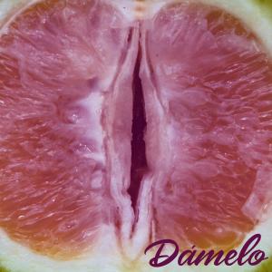 Album Dámelo from Pakistan
