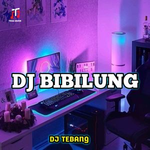 Album Funkot bibilung from DJ TEBANG