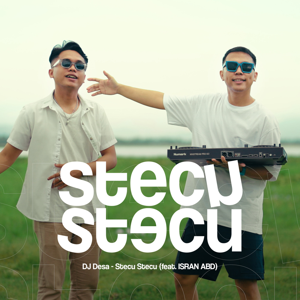 Stecu Stecu