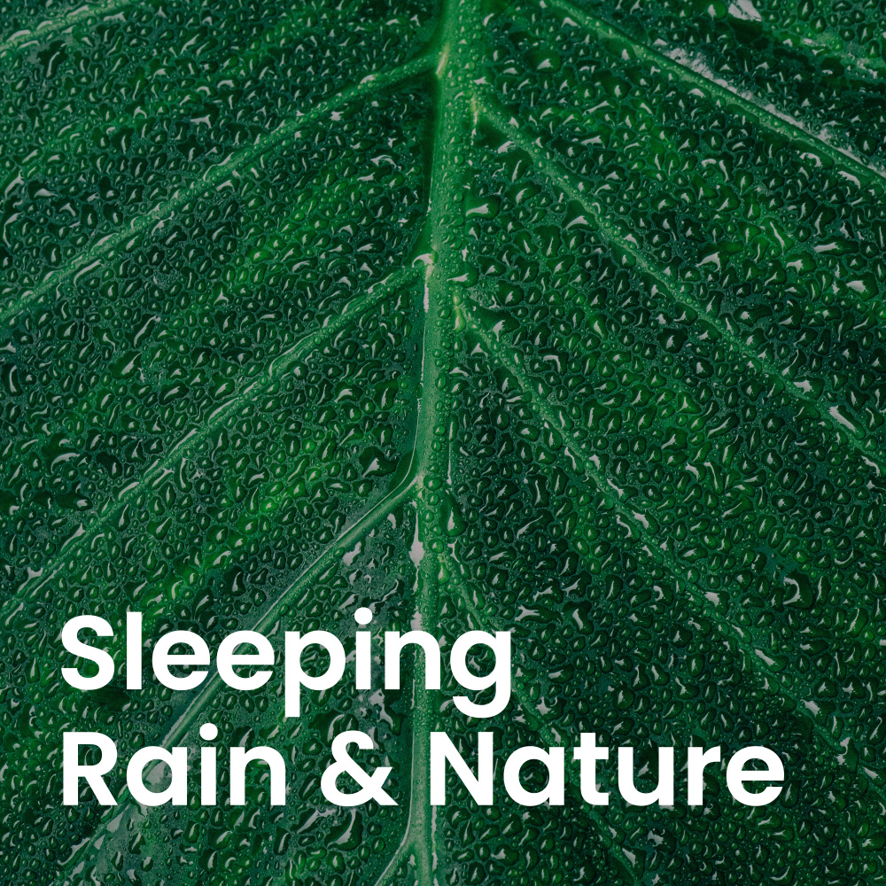 Peaceful Rain & Distant Wind