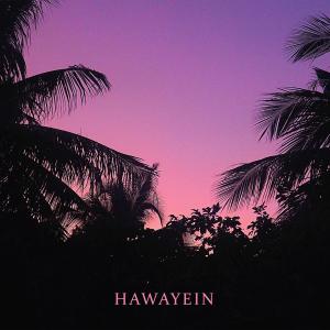 Krazy的專輯hawayein