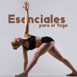 Dengarkan Energía de la Mañana lagu dari Academia de Música de Yoga Pilates dengan lirik