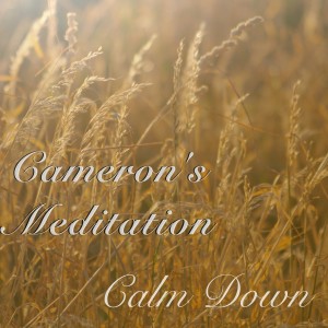 Cameron DeLuca的專輯Cameron's Meditation - Calm Down