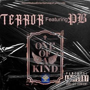 Album One of A Kind (Explicit) from Terror