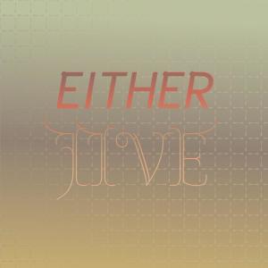 Various Artists的專輯Either Jive