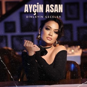 Listen to Dinleyin Geceler (Evet Ne Söylüyoduk) song with lyrics from Ayçin Asan