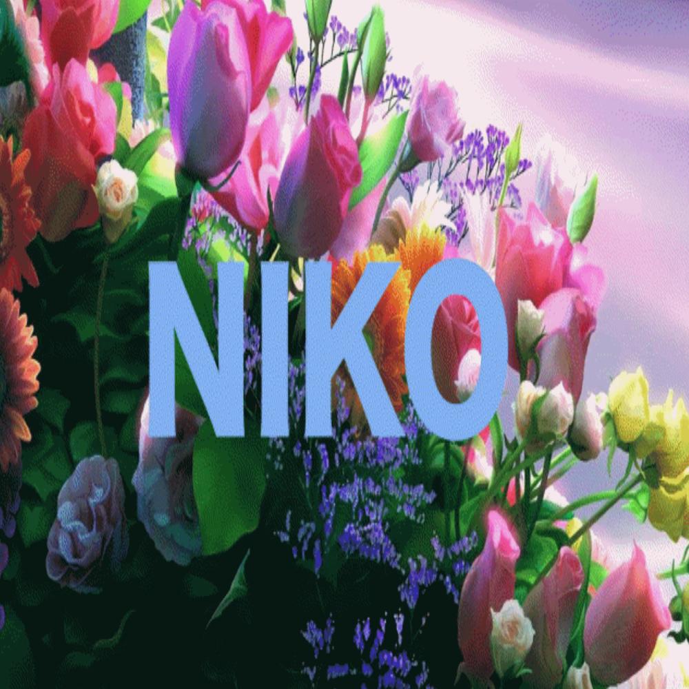 Niko Taxi