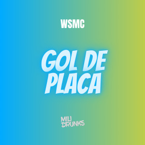 Listen to Gol de Placa song with lyrics from WSmc
