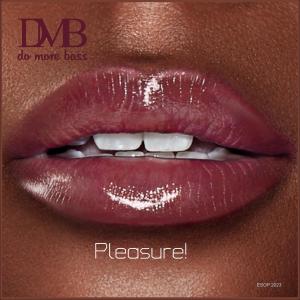 Loose Ends的專輯Pleasure (feat. D M B)