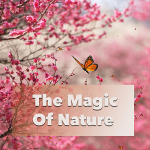 Dengarkan Weather Storm lagu dari Wildlife dengan lirik