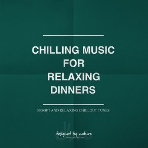 Various Artists的專輯Chilling Music for Relaxing Dinners