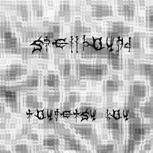 Listen to 2nite song with lyrics from Tougetsu Kou