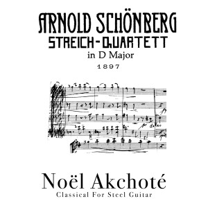 Album Schoenberg: String Quartet in D Major (Classical for Steel Guitar) from Noel Akchote