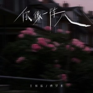 Album 你像一阵风 from 王忻辰