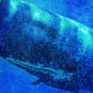 收聽Rita Graham的The Whale's Tale歌詞歌曲