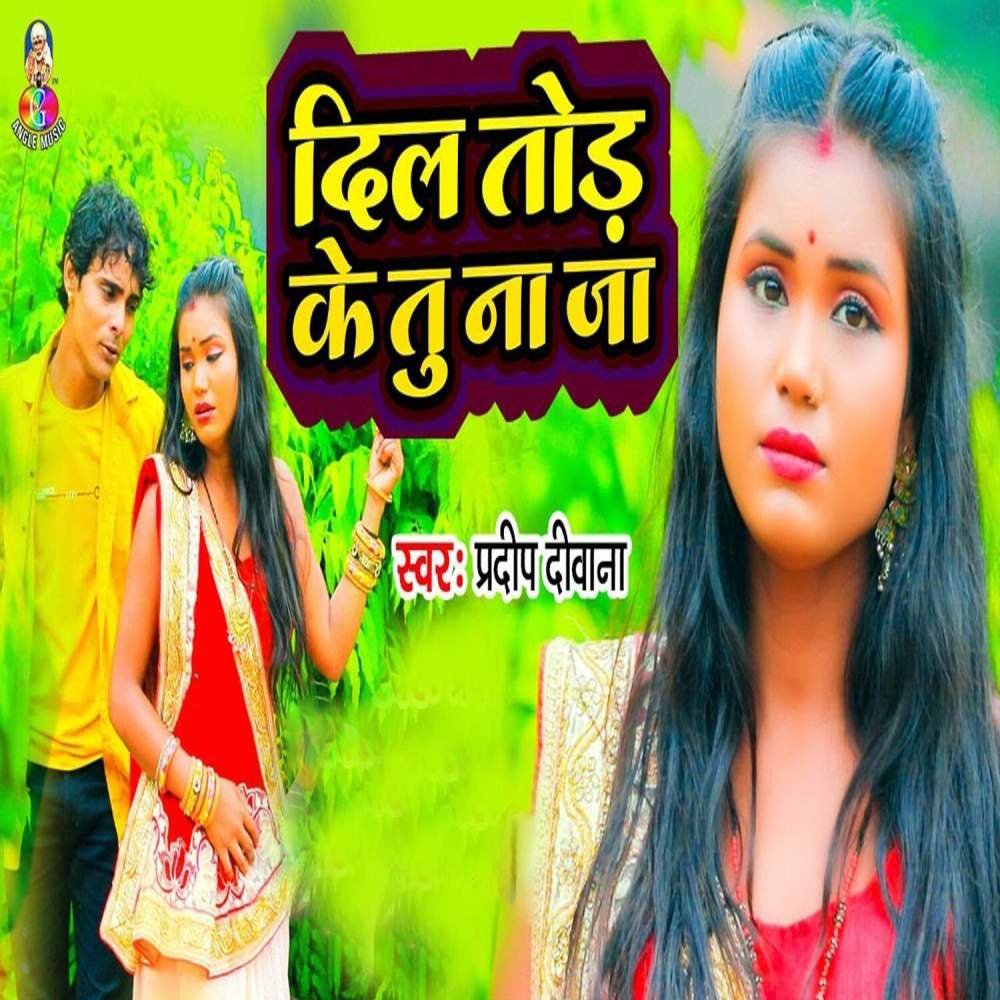 Dil Tod Ke Tu Na Ja