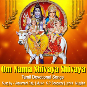 Om Nama Shivaya Shivaya