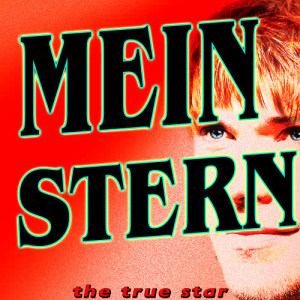 收聽The True Star的Du Bist Mein Stern (2011 Version)歌詞歌曲