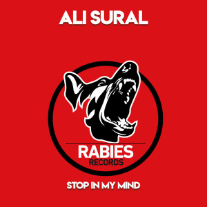 收听Ali Sural的Stop in My Mind歌词歌曲