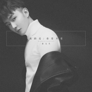 Listen to 我的爱你要不要 song with lyrics from 赵文昊