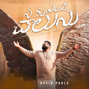 Album నీ కృపయే చాలును from Harika Bathula