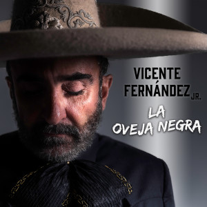 Listen to El Caballo Robado song with lyrics from Vicente Fernández Jr.
