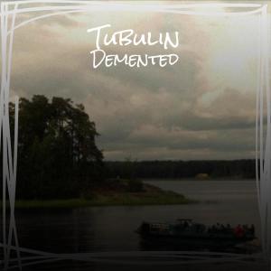 Listen to Face-to-face Cmp song with lyrics from Dylaan