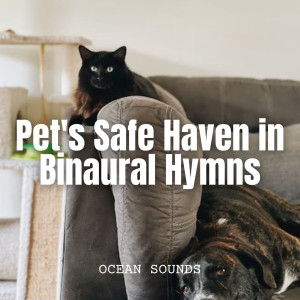 Ocean Sounds: Pet's Safe Haven in Binaural Hymns