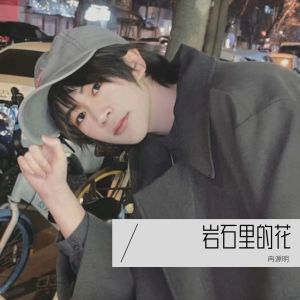 Listen to 岩石里的花 (cover: 精彩轩迪|98k) (完整版) song with lyrics from 冉源明