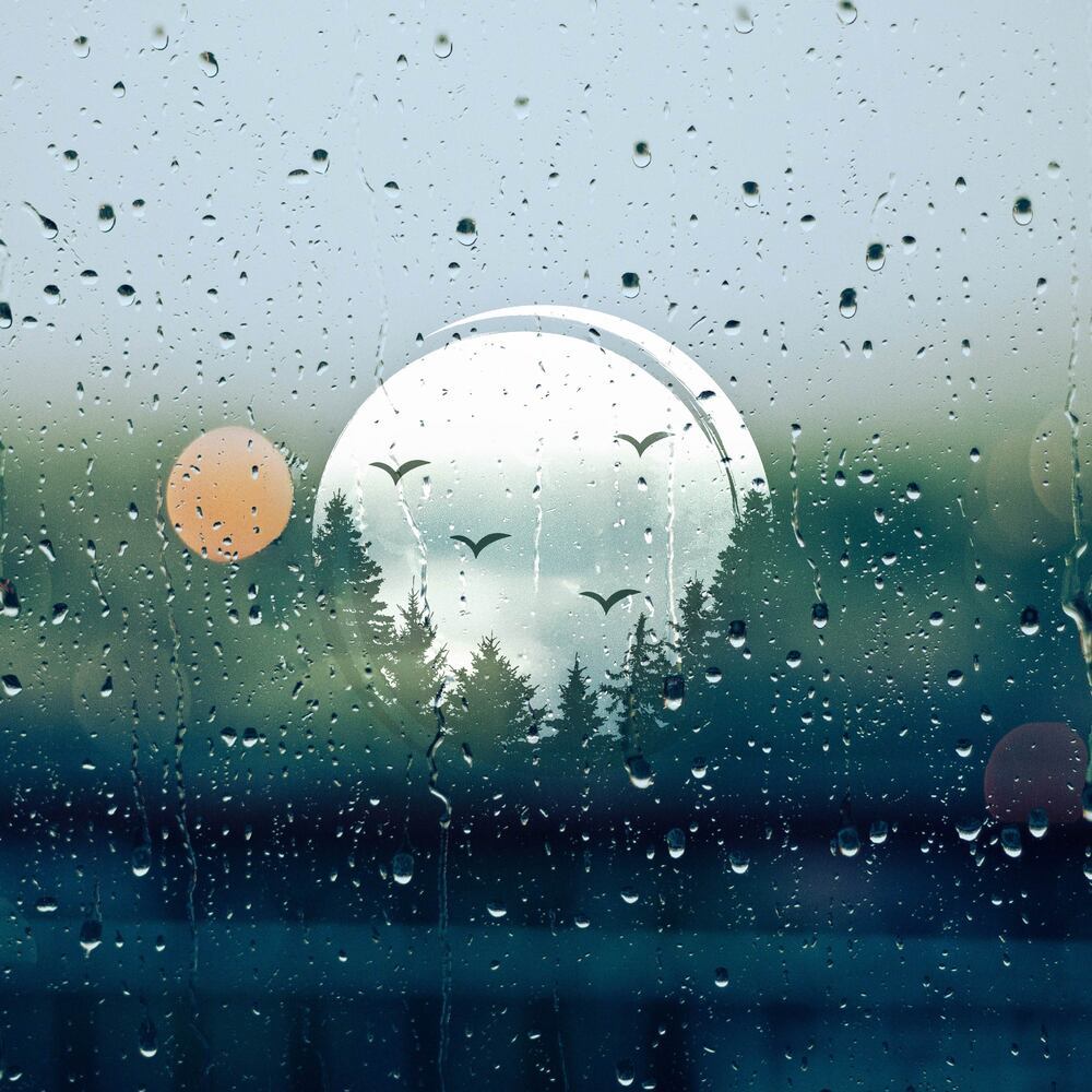 Storms are for Sleeping
