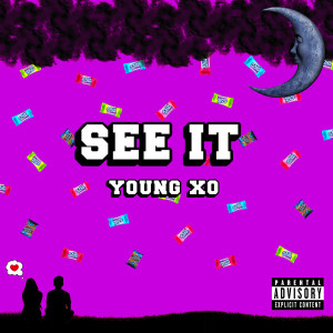 Listen to See It (Explicit) song with lyrics from Young Xo