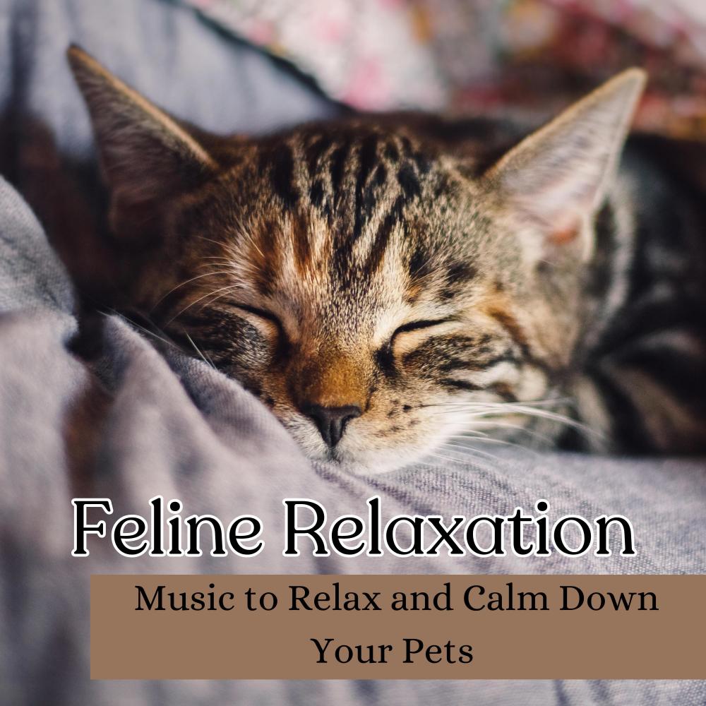Calming Cat Music (feat. Cat Music Dreams)