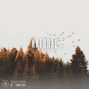 收聽Daren的Natural歌詞歌曲