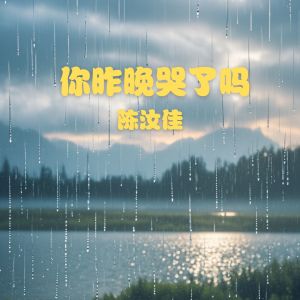 Album 你昨晚哭了吗 oleh 陈汝佳