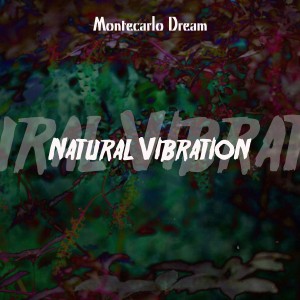 Album Natural Vibration oleh Montecarlo Dream