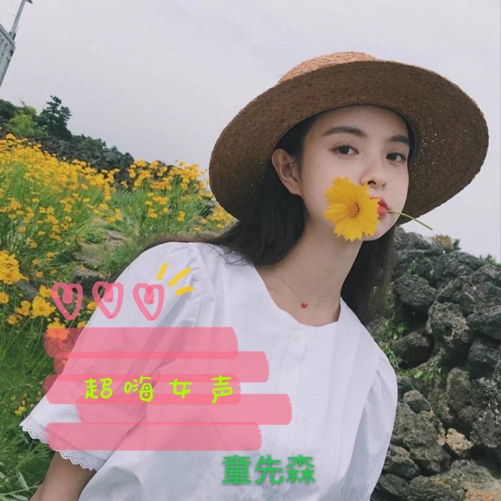 上头大电 (DJ版)