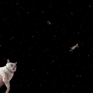 อัลบัม Modern Indie Spacecats ศิลปิน The Great Emu War Casualties