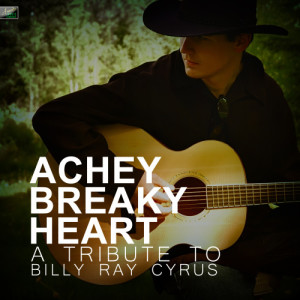 收聽Ameritz Tribute Standards的Achy Breaky Heart歌詞歌曲