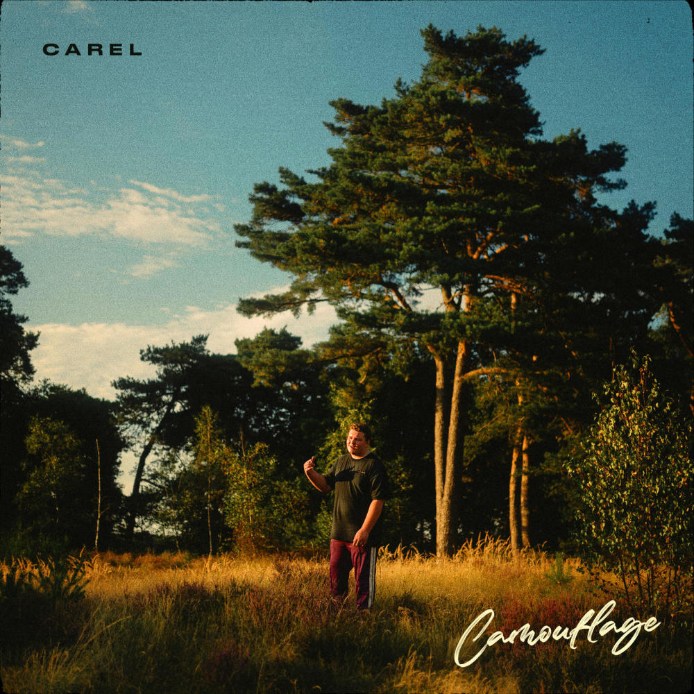 Camouflage (Explicit)