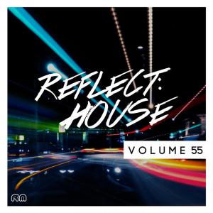 Album Reflect:House, Vol. 55 from Various