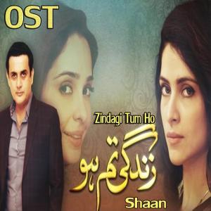 ดาวน์โหลดและฟังเพลง Zindagi Tum Ho (From "Zindagi Tum Ho") พร้อมเนื้อเพลงจาก Shaan