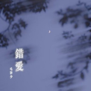 Album 错爱 from 毛泽少