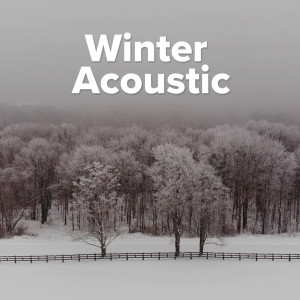 ดาวน์โหลดและฟังเพลง Savage Love (Acoustic Cover|Explicit) พร้อมเนื้อเพลงจาก Emily Hall